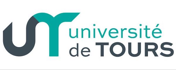 Logo IUT de Tours